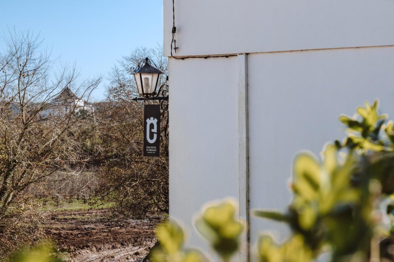 Encosta D'Obidos Διαμέρισμα Εξωτερικό φωτογραφία